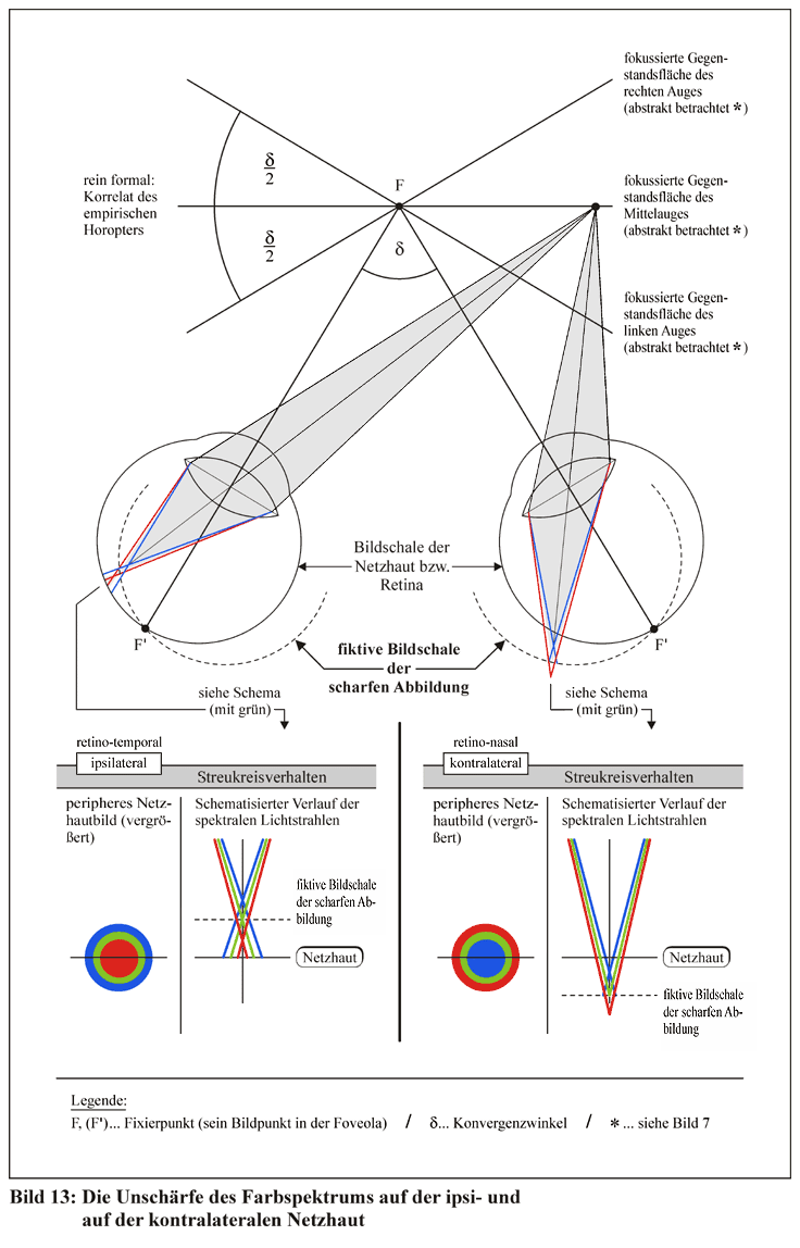 Unschärfe des Farbspektrums auf ipsi- und auf kontralateraler Netzhaut