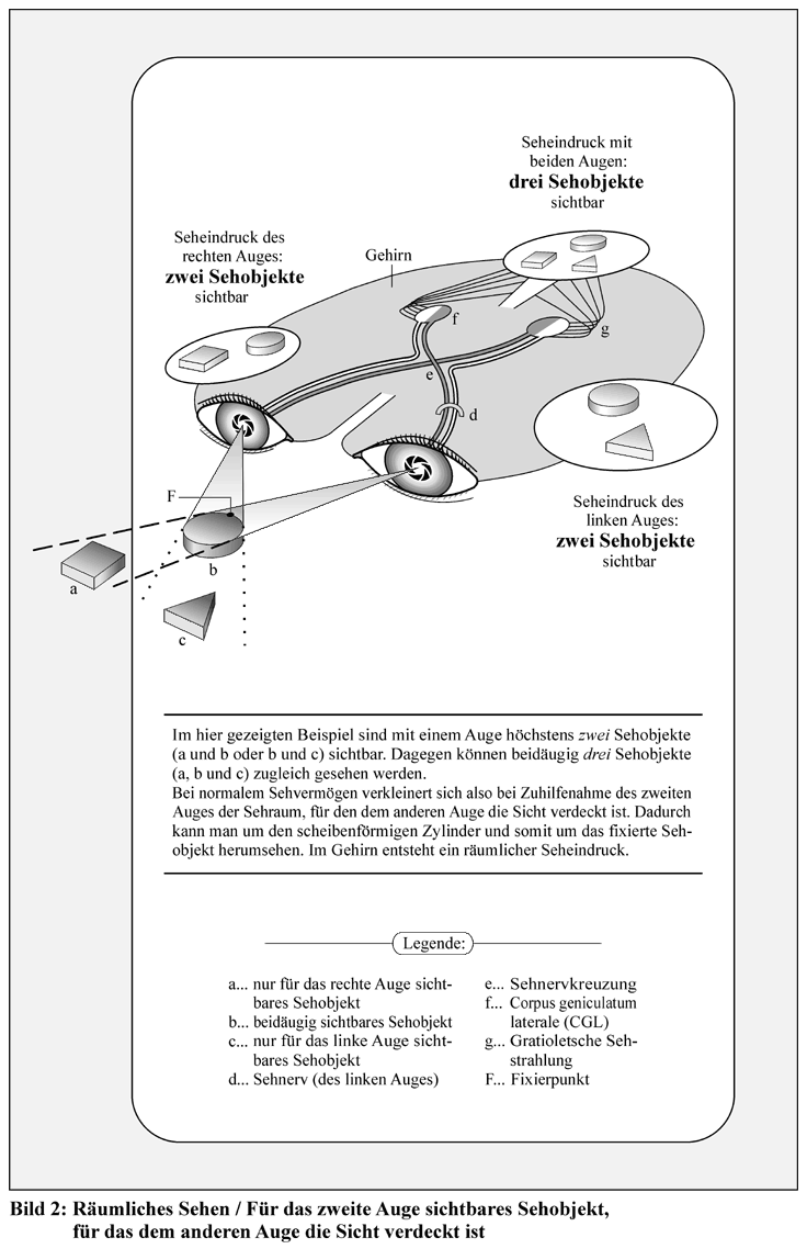 Stereosehen Bild 2