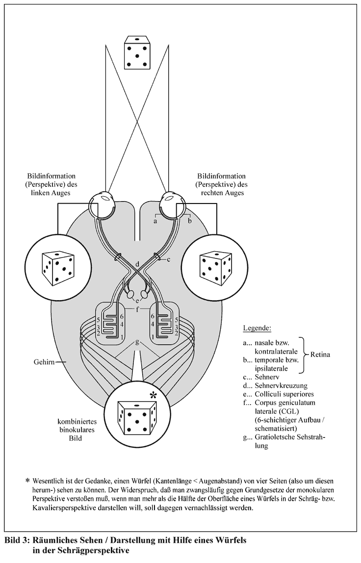 Stereosehen/ Würfel