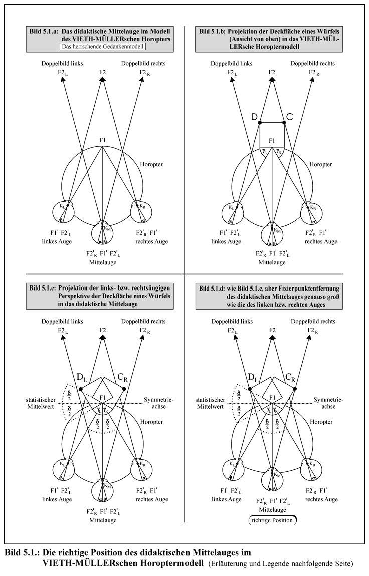 Horopter/ didaktisches Mittelauge