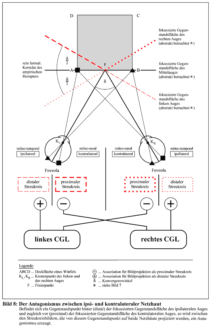 Netzhaut/ ipsilateral und kontralateral